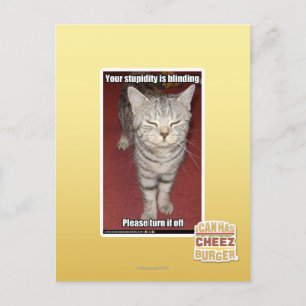 Your stupidity is blinding 2 postcard