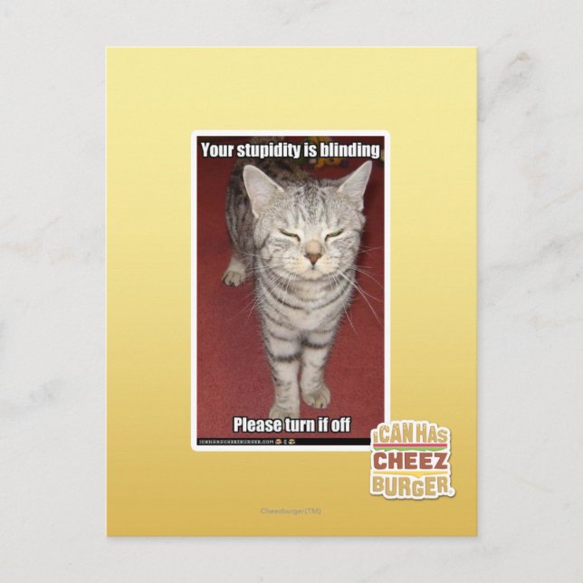 Your stupidity is blinding 2 postcard (Front)