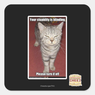 Your stupidity is blinding 2 square sticker