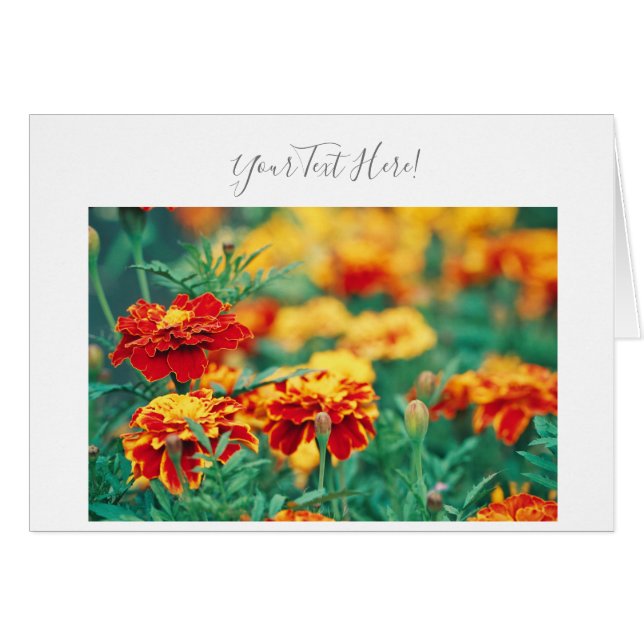 Your Text Gorgeous Marigold Flowers Greeting Card (Front Horizontal)