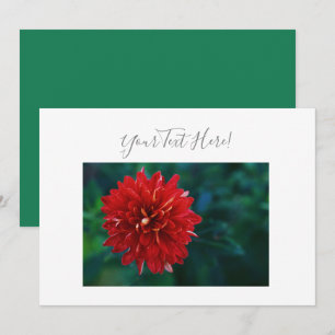 Your Text Gorgeous Red Dahlia Flower Invitation