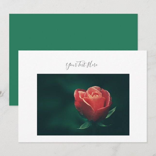 Your Text Gorgeous Red Rose Flower Invitation (Front/Back)