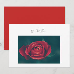 Your Text Gorgeous Red Rose Flower Invitation