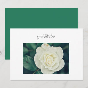 Your Text Gorgeous White Rose Flower Invitation