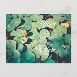 Your Text Green Leaves Water Lily Flower Postcard