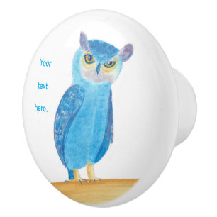 Your text on Cute Blue Owl Knobs