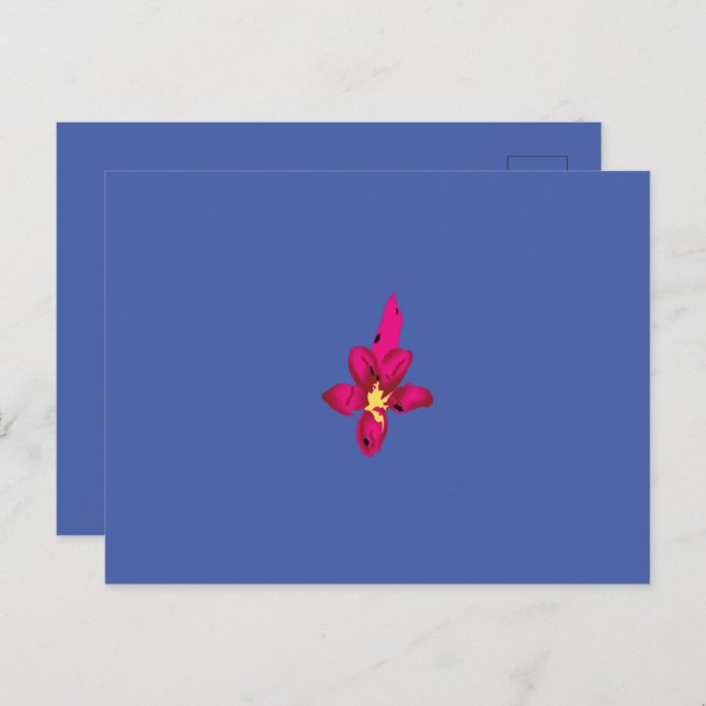 Your Vacation in Your Pocket Postcard (Front/Back)