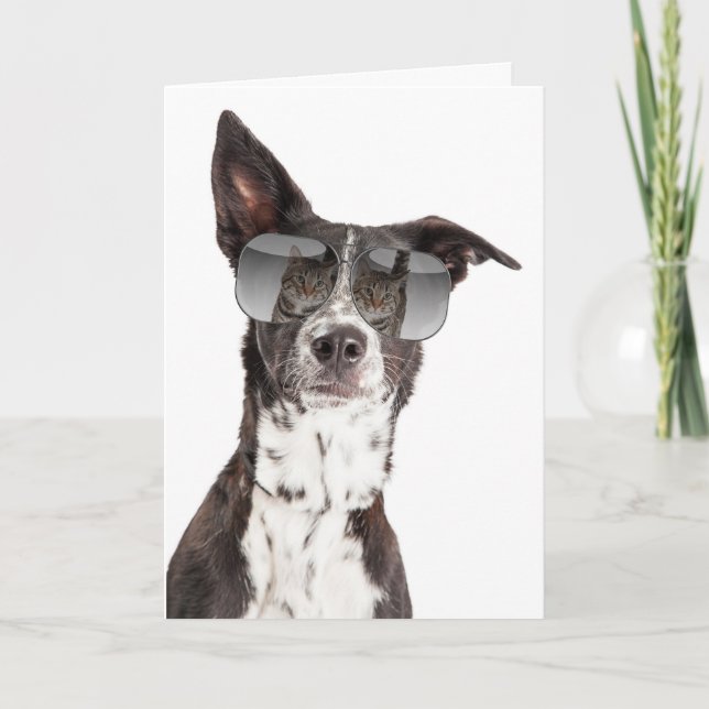 You're a Cool Cat Friendship Card (Front)