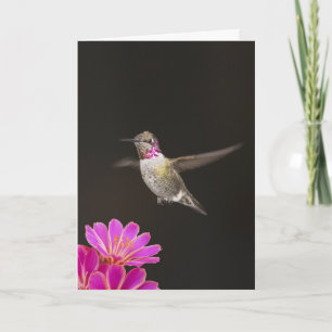 YOU'RE A HUMMER BIRTHDAY CARD