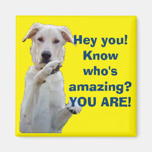 You're Amazing Magnet