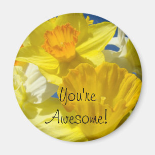 You're Awesome! magnets Yellow Daffodil Flowers