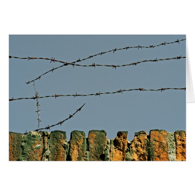 You're Barbed! (Front Horizontal)