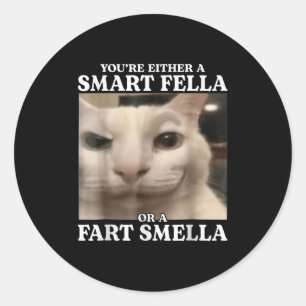 You're Either A Smart Fella Or A Fart Smella Cat F Classic Round Sticker