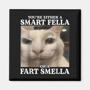 You're Either A Smart Fella Or A Fart Smella Cat F Magnet