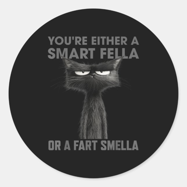 You're Either A Smart Fella Or A Fart Smella Funny Classic Round Sticker (Front)