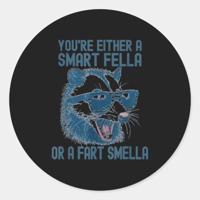 You're Either A Smart Fella Or A Fart Smella Funny Classic Round Sticker (Front)