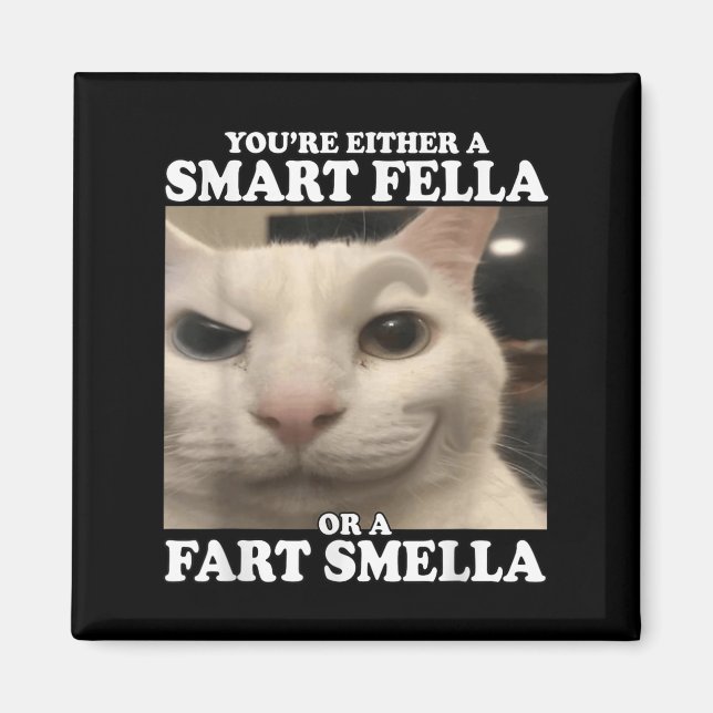 You're Either A Smart Fella Or A Fart Smella Funny Magnet (Front)