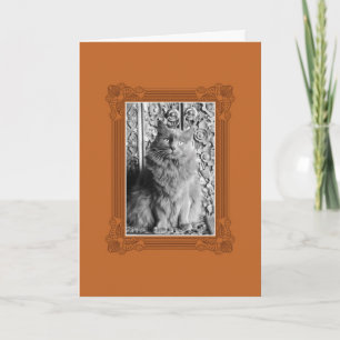 You're Fancy Holiday Card