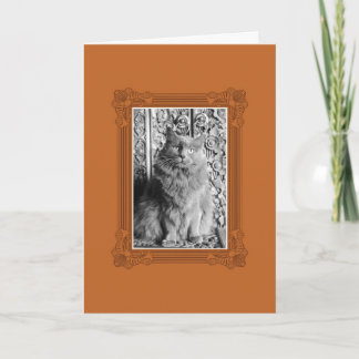 You're Fancy Holiday Card