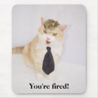 You're Fired!