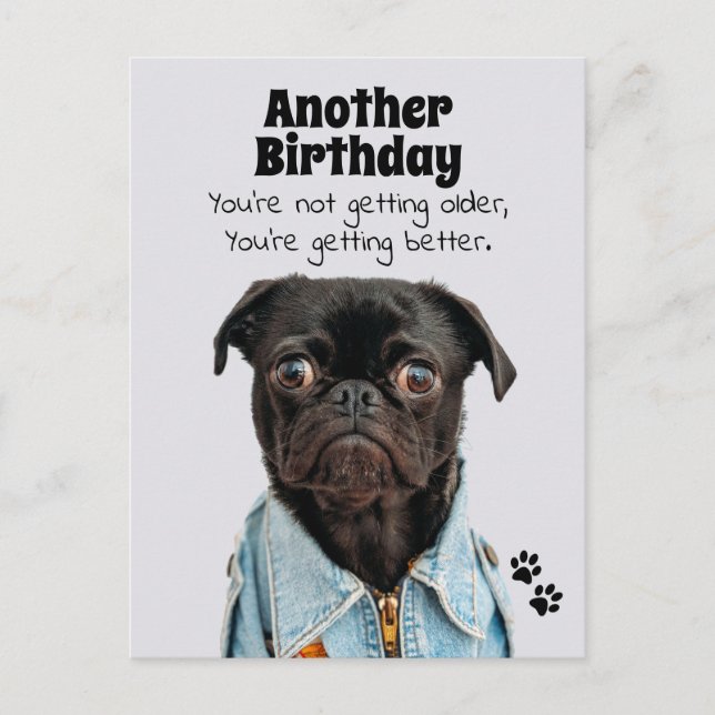 You're Getting Better Pug Dog Birthday Postcard (Front)