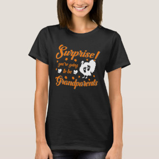 You're Going To Be Grandparents Pregnancy Announce T-Shirt