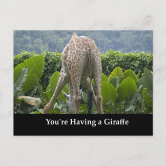 You're Having A Giraffe! Postcard