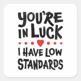 You're In Luck I Have Low Standards Sticker