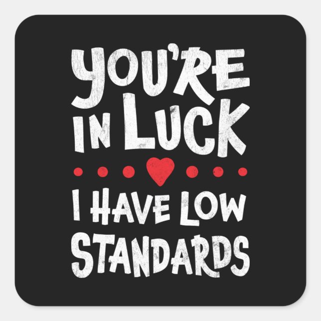 You're In Luck I Have Low Standards Sticker (Front)