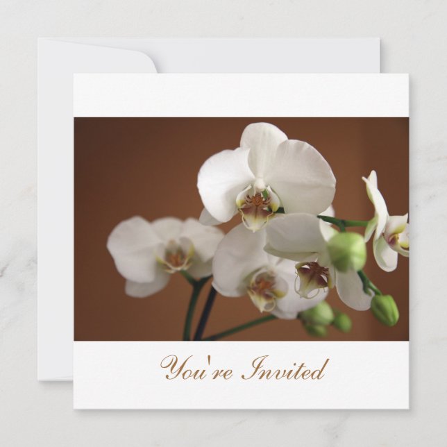 You're Invited Invitation (Front)