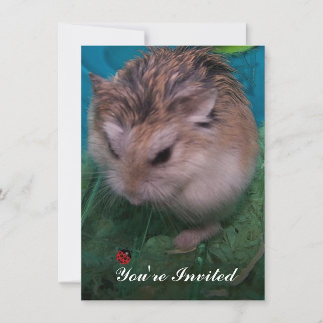 You're Invited Invitation (Front)