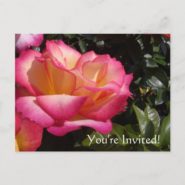 You're Invited! Invitation Postcard (Front)
