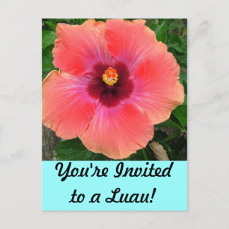 You're Invited to a Luau! Invitation Postcard