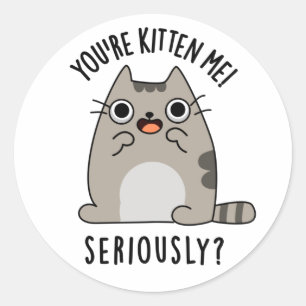 You're Kitten Me Seriously Funny Cat Pun Classic Round Sticker