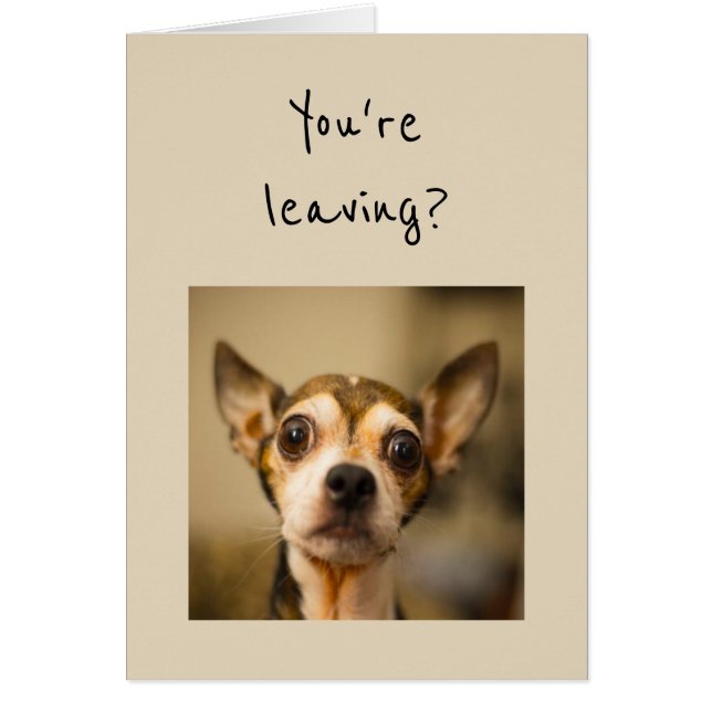 You're Leaving? Noooo! Fun Chihuahua Dog (Front)