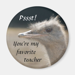You're My Favourite Teacher - magnet