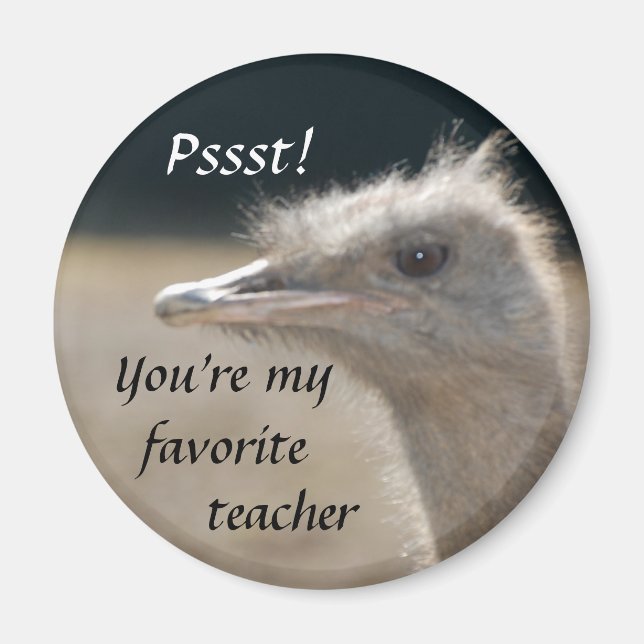You're My Favourite Teacher - magnet (Front)