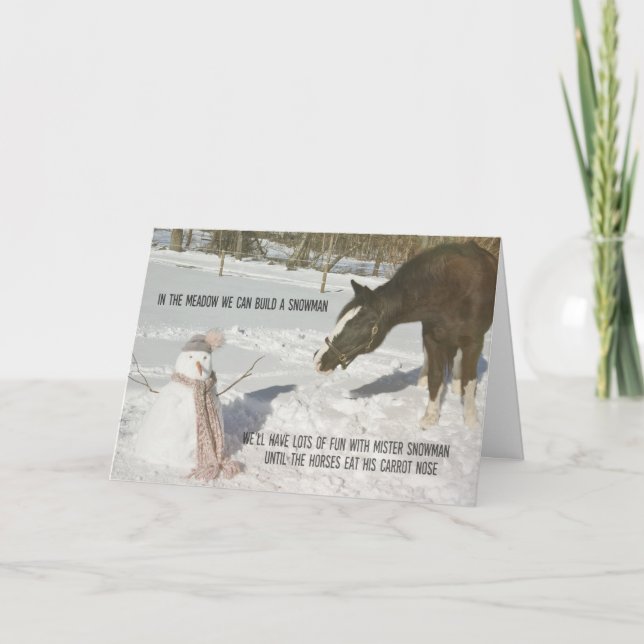 YOU'RE NOT A PONY Greeting Card (Front)