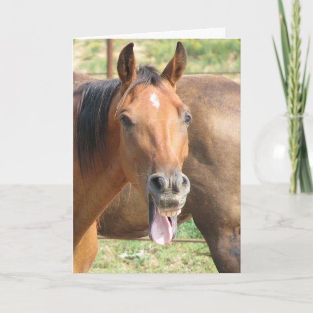 You're really that old?! card (Front)