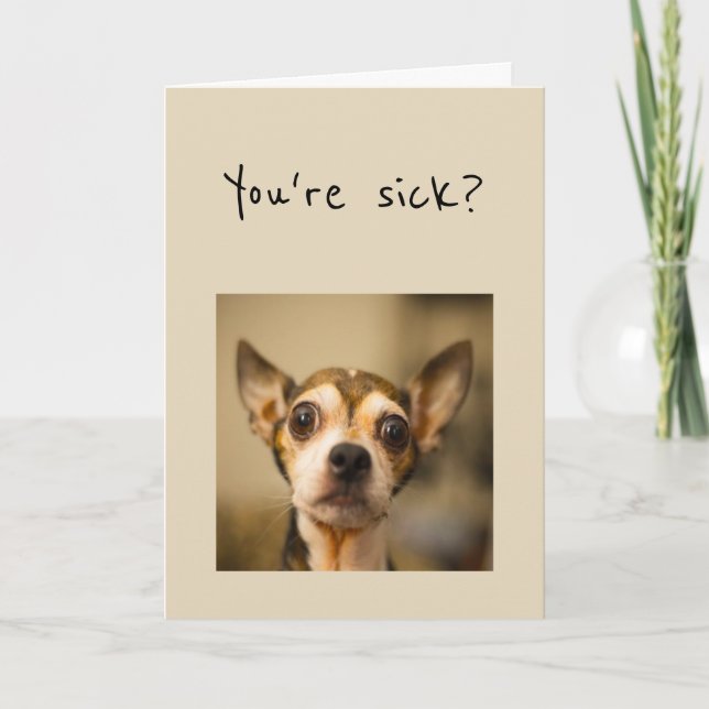 You're Sick? Noooo Get Well Soon Fun Chihuahua Dog Card (Front)