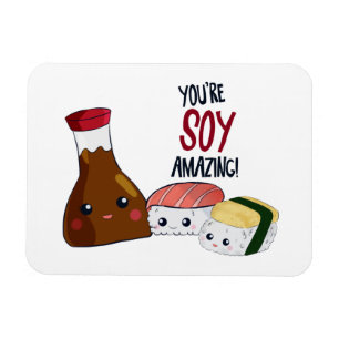 You're Soy Amazing Kawaii Sushi Hi & Hello Cute Magnet