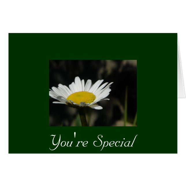 You're Special (Front Horizontal)