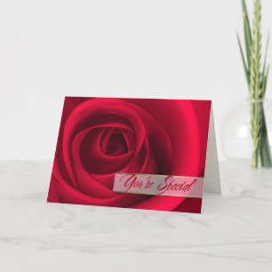 You're Special. Red Rose Valentine's Day Holiday Card