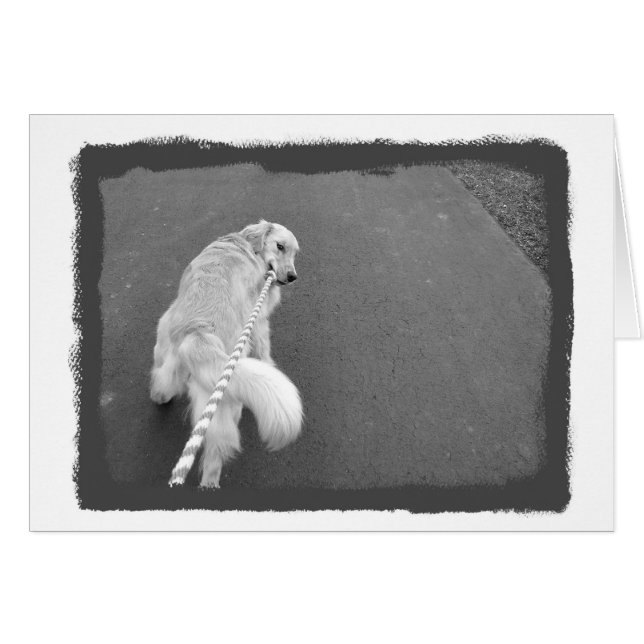 You're Strong! (Front Horizontal)