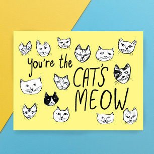 YOU'RE THE CAT'S MEOW Cute Kittens  Postcard
