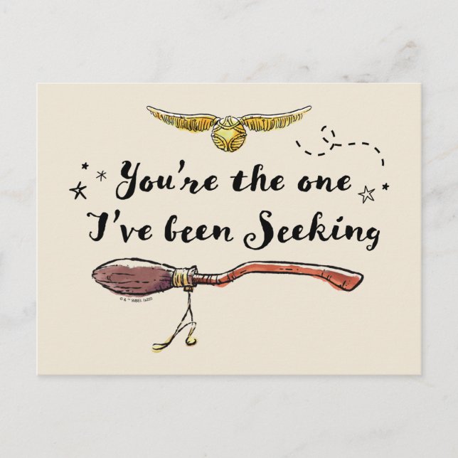 You're The One I've Been Seeking Postcard (Front)