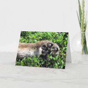 You're Totally Paw-some Thank You Card