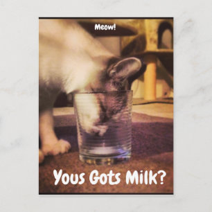 Yous Gots Milk? Postcard