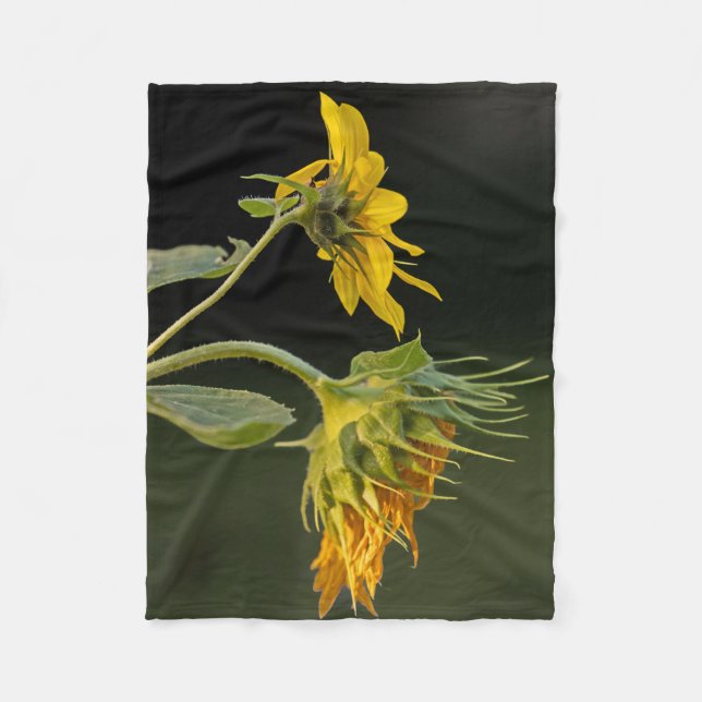 Youth and Age Sunflower Fleece Blanket (Front)