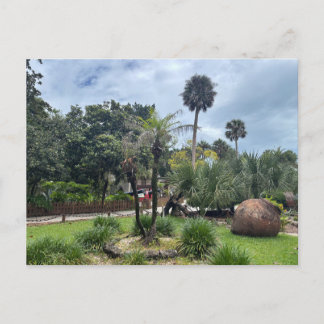 Youth Archaeological Park Postcard